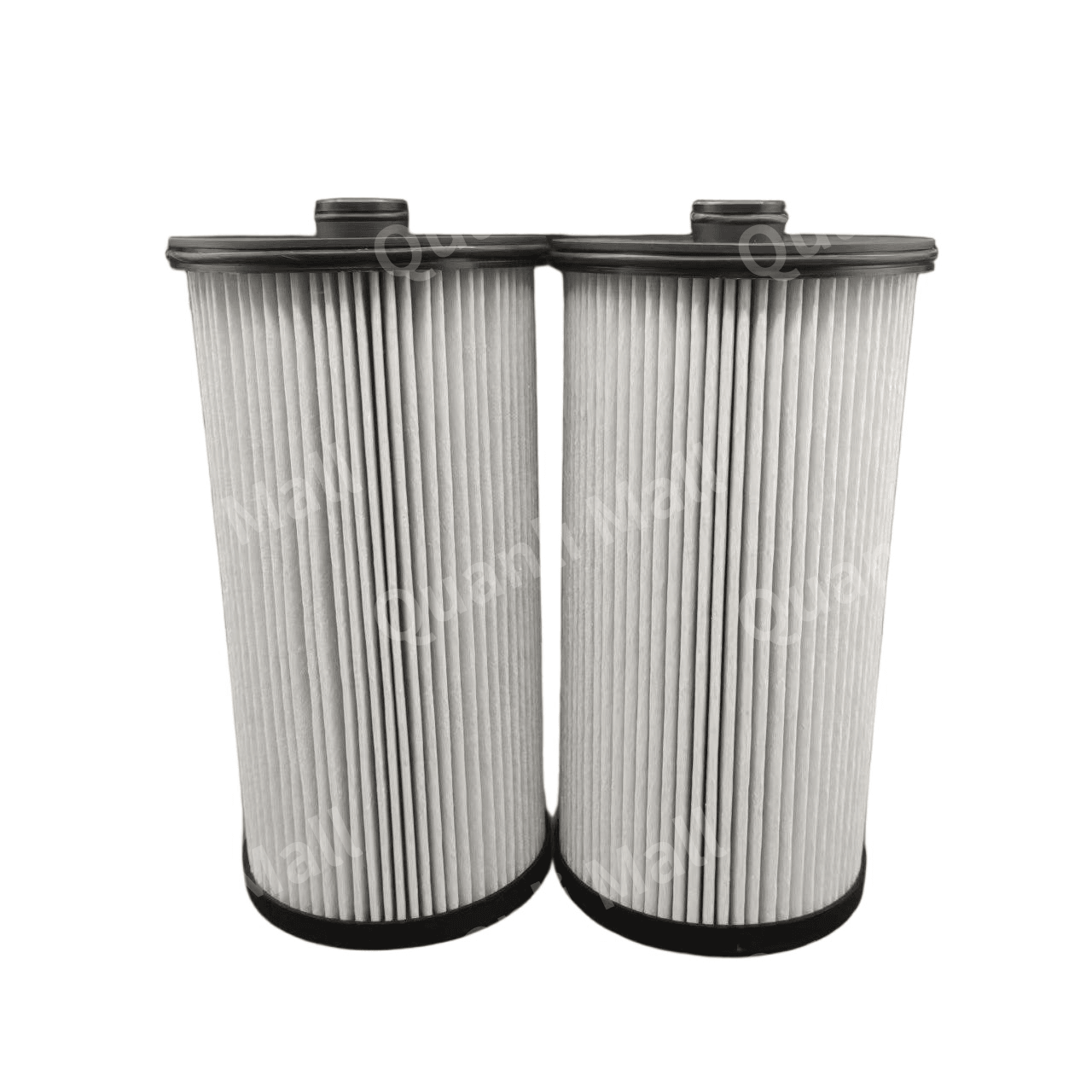 Diesel Fuel Filter 1