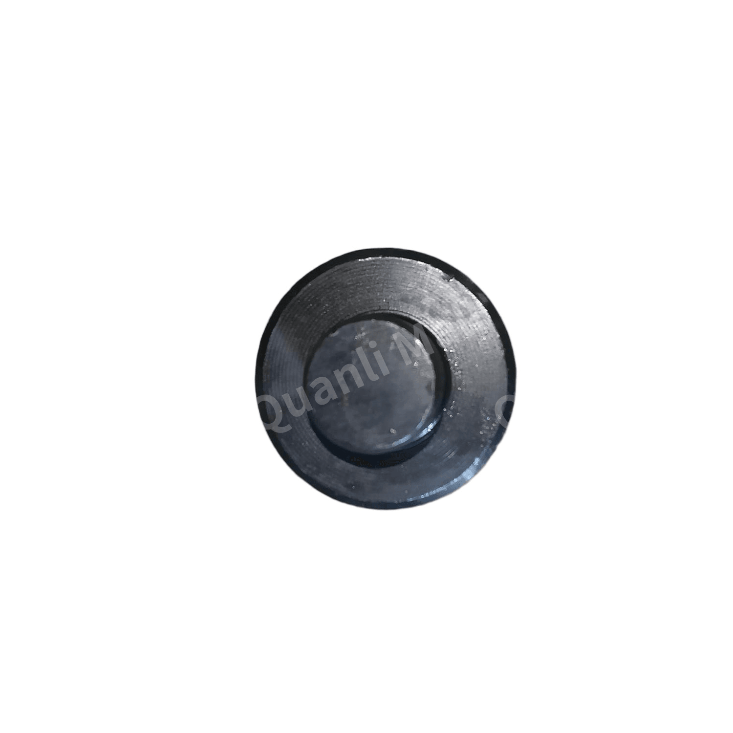 Brake Shoe Roller D=42 2