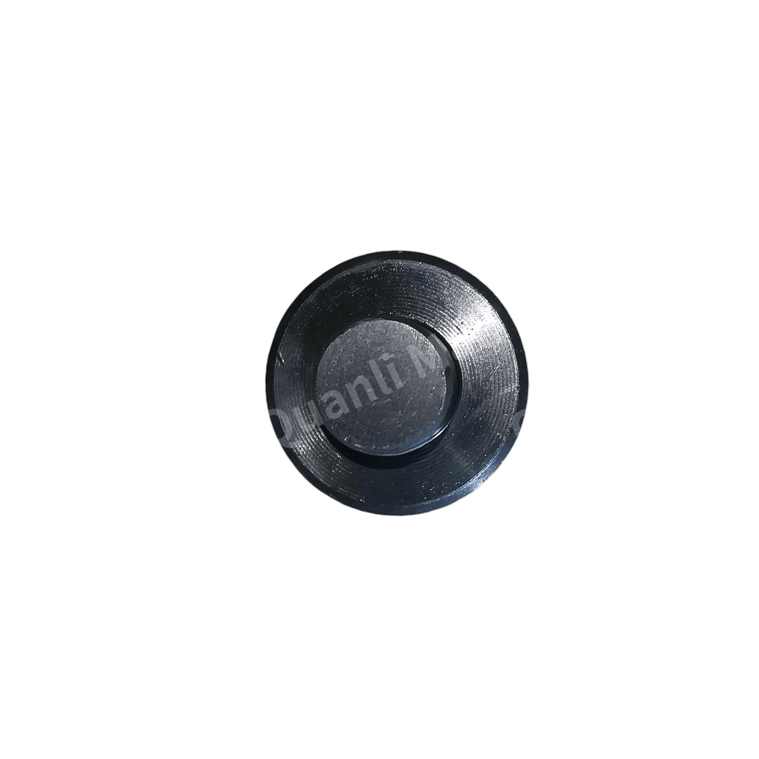 Brake Shoe Roller D=42 1
