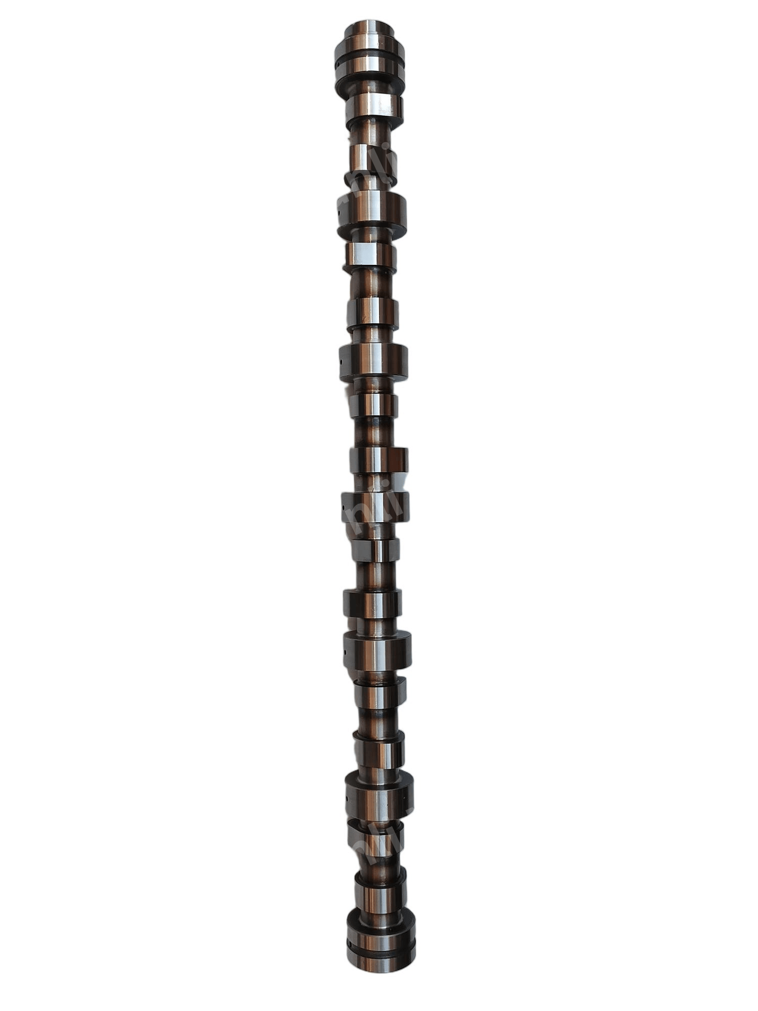 Engine Camshaft