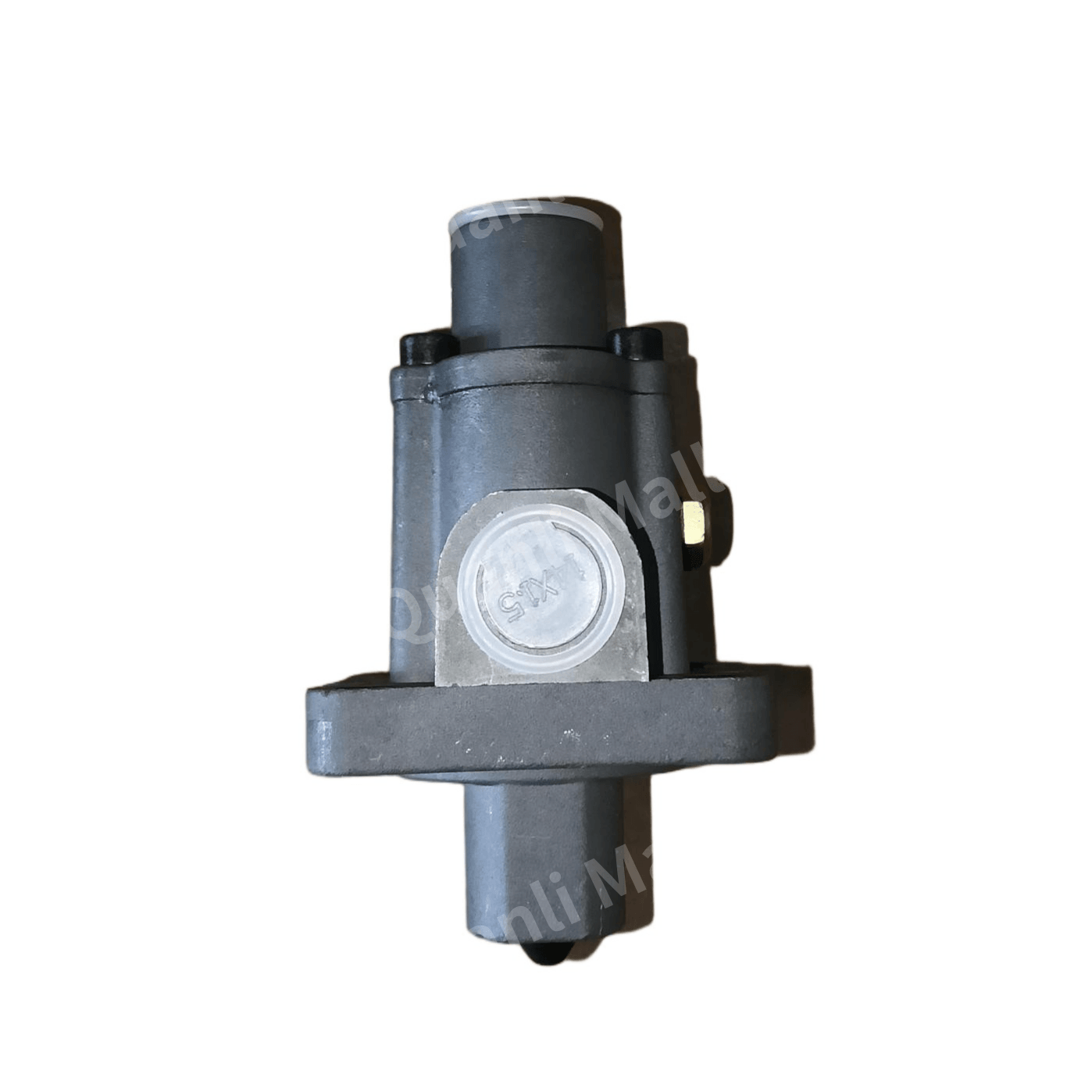 Double-H Valve Assembly 2