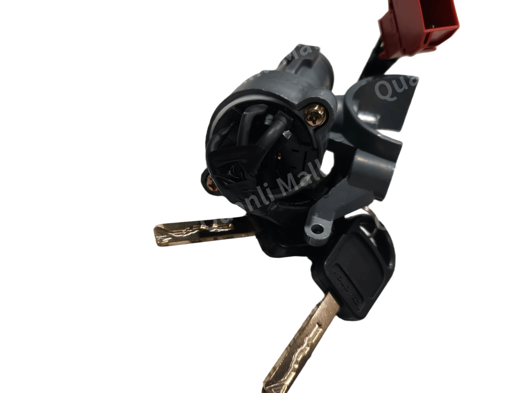 Ignition Switch Assembly 2