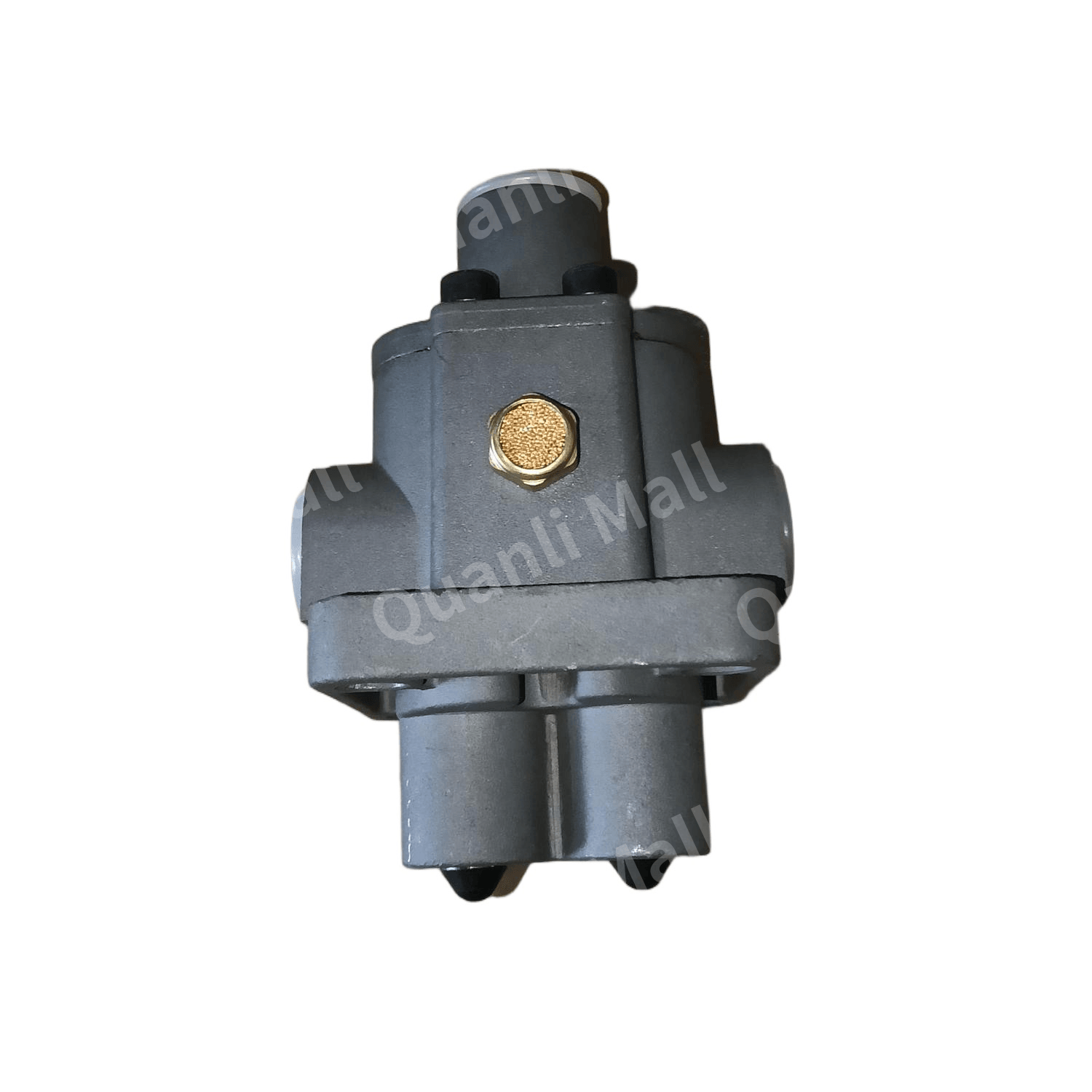 Double-H Valve Assembly 1