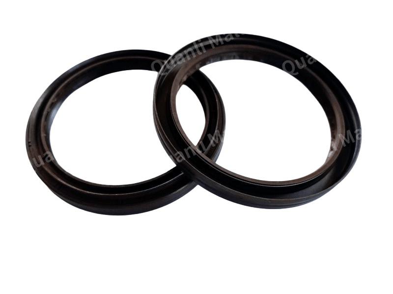 Oil Seal 1