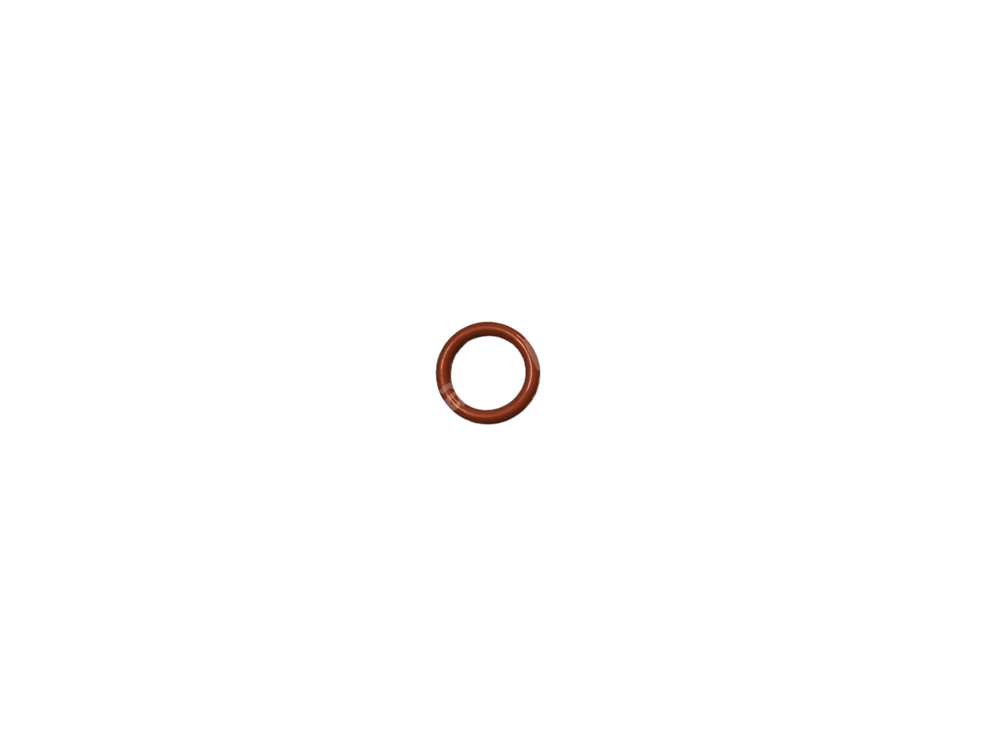 Seal Ring 1