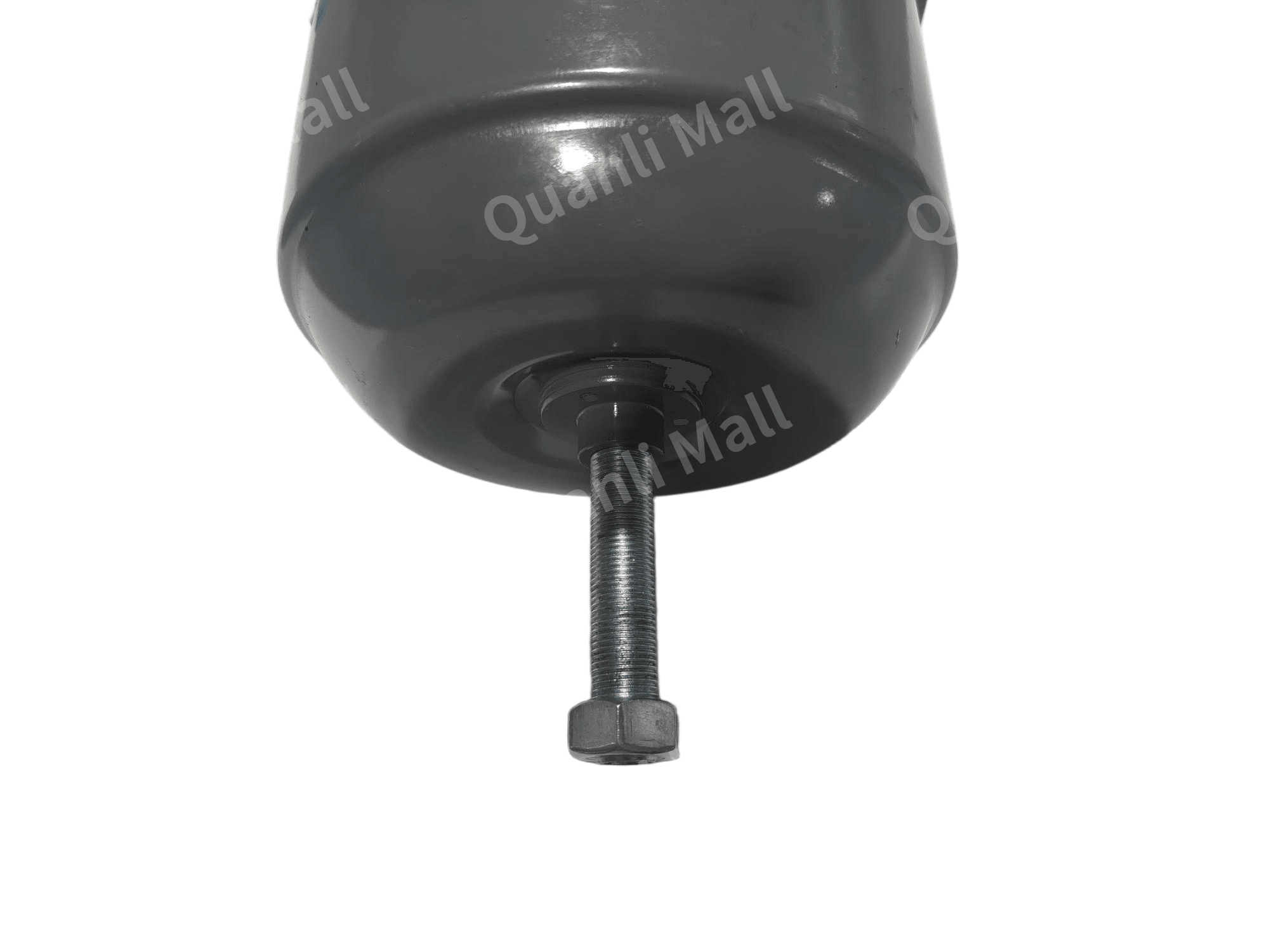 Diaphragm-Type Spring Brake Chamber, L=70 (Cold Climate) 2