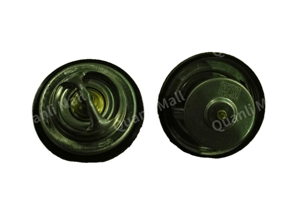Thermostat 83°C–95°C 1