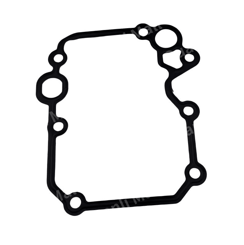 Engine Oil Module Gasket 1