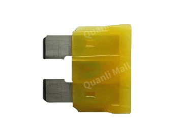 20A Cartridge Fuse 2