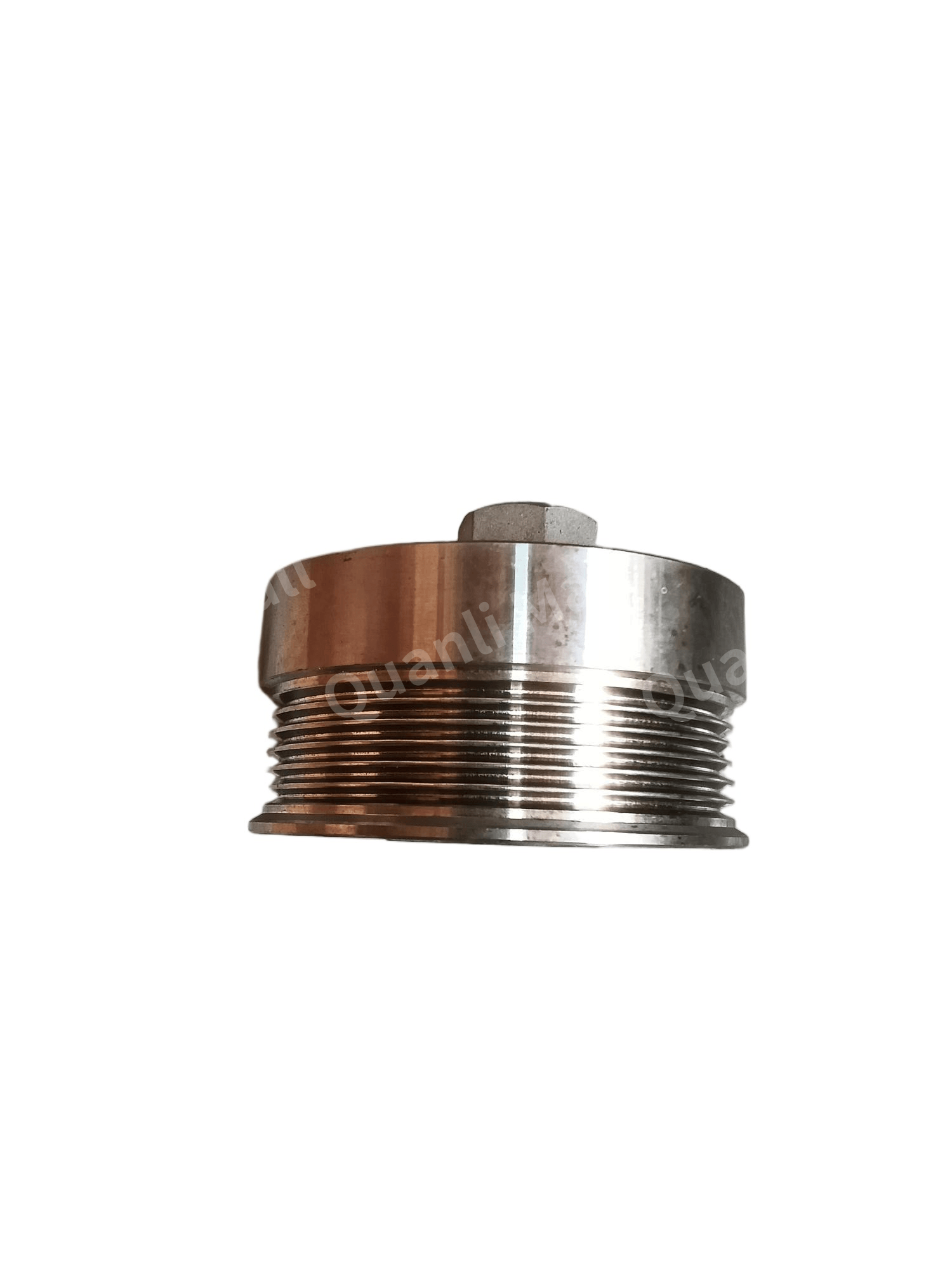Belt Tensioner Pulley 1