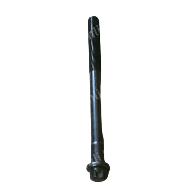 Cylinder Head Bolts 2