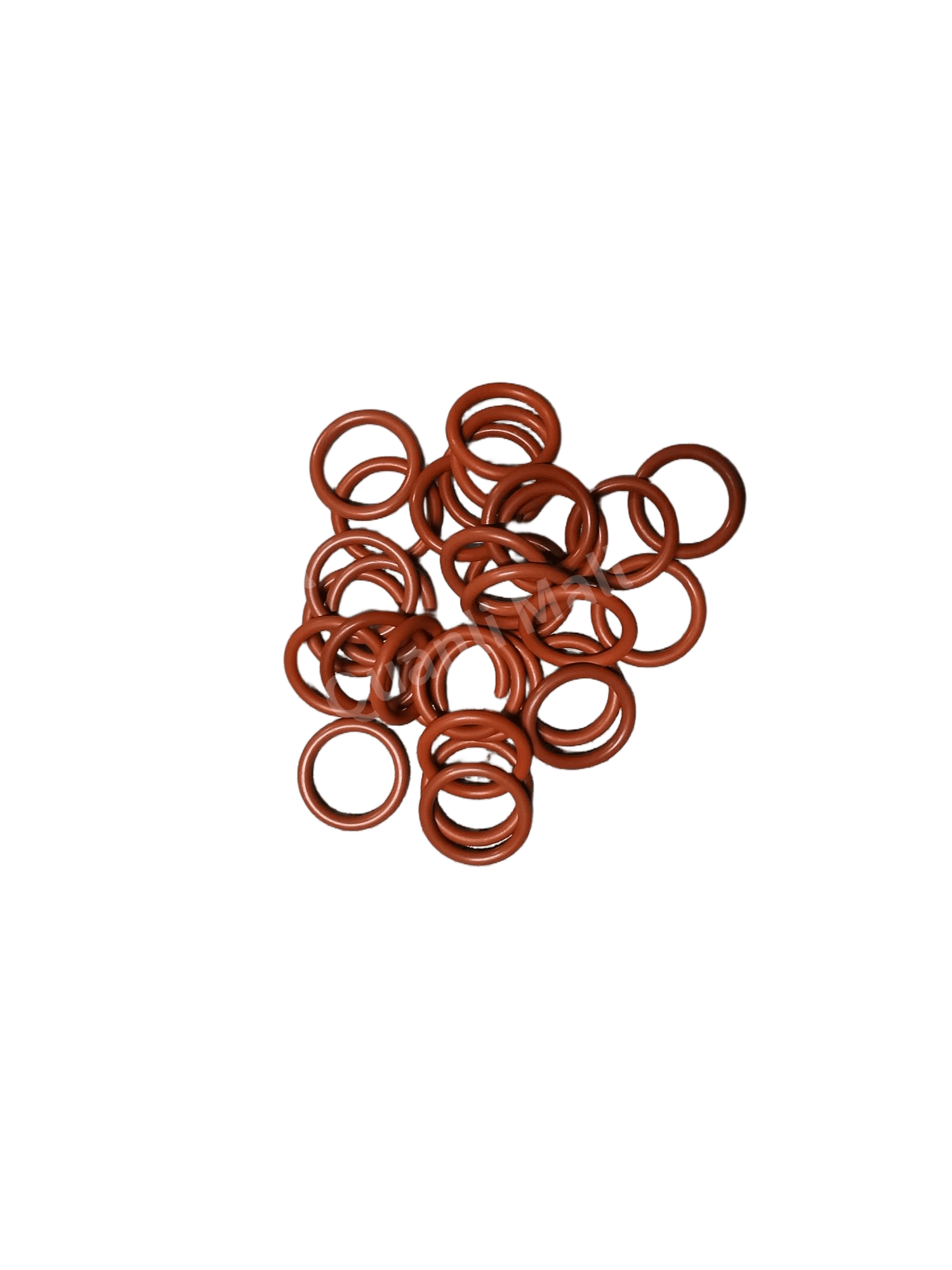 Seal Ring 2