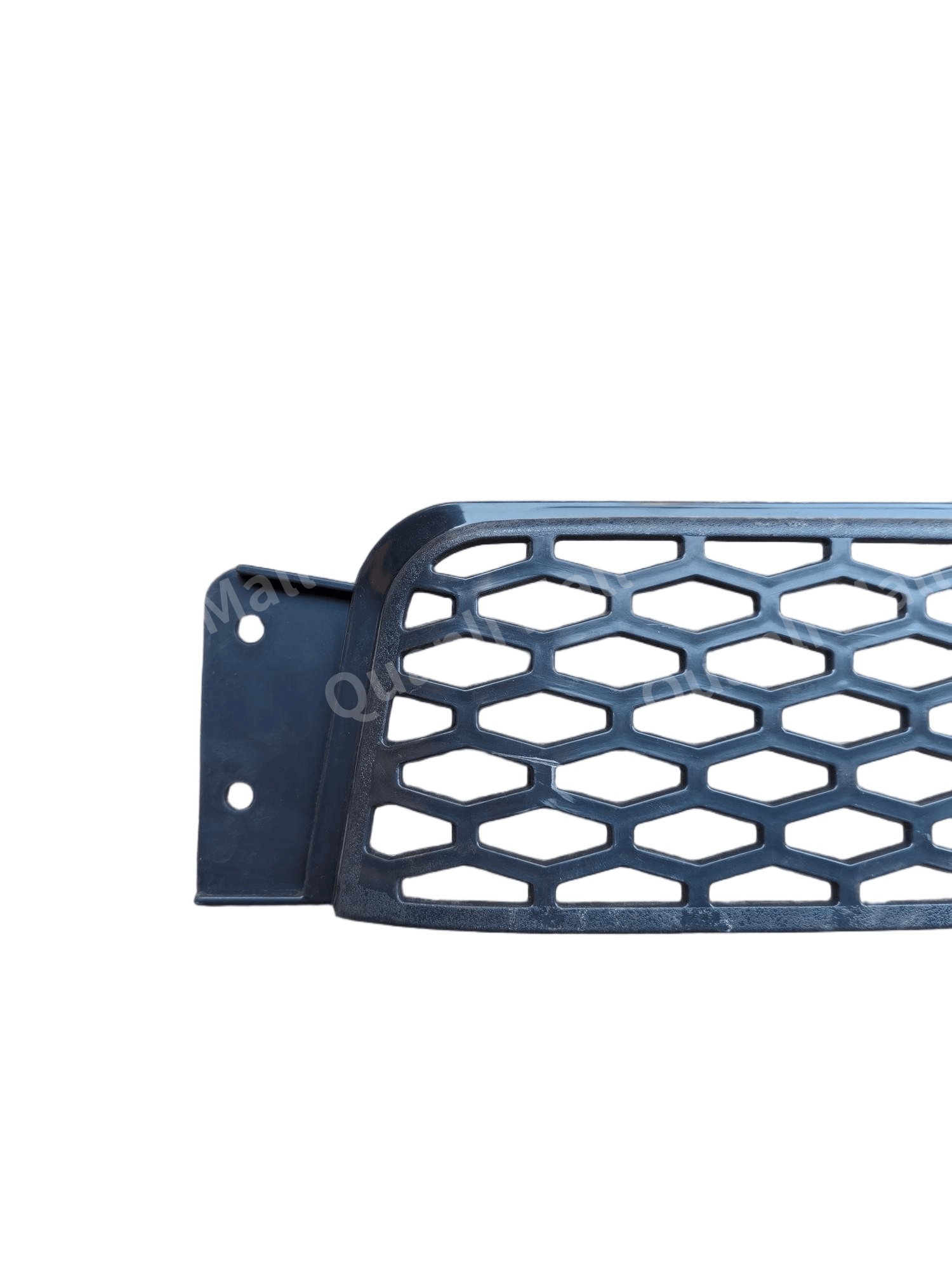 Bumper Grille 2