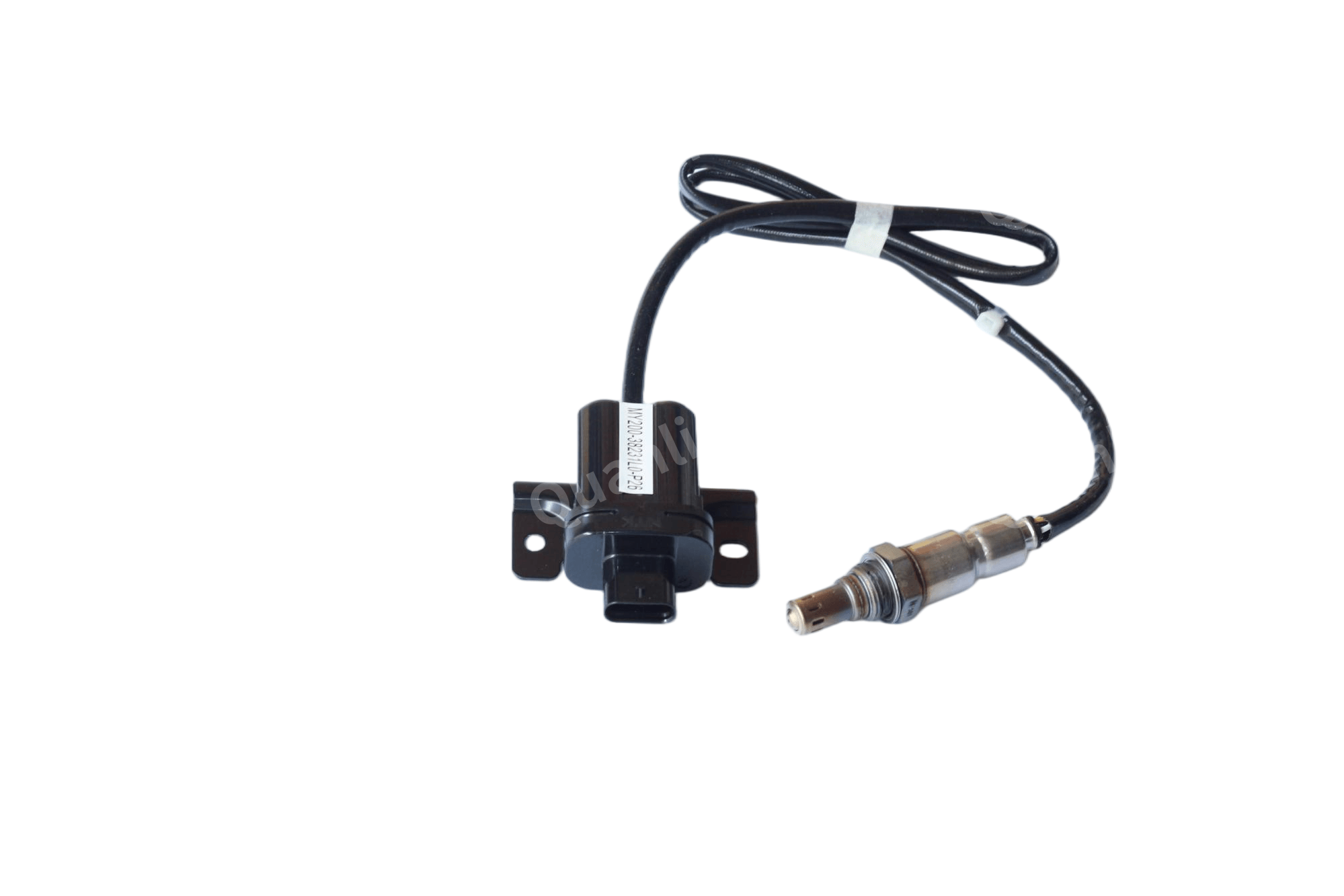 Sensor 3