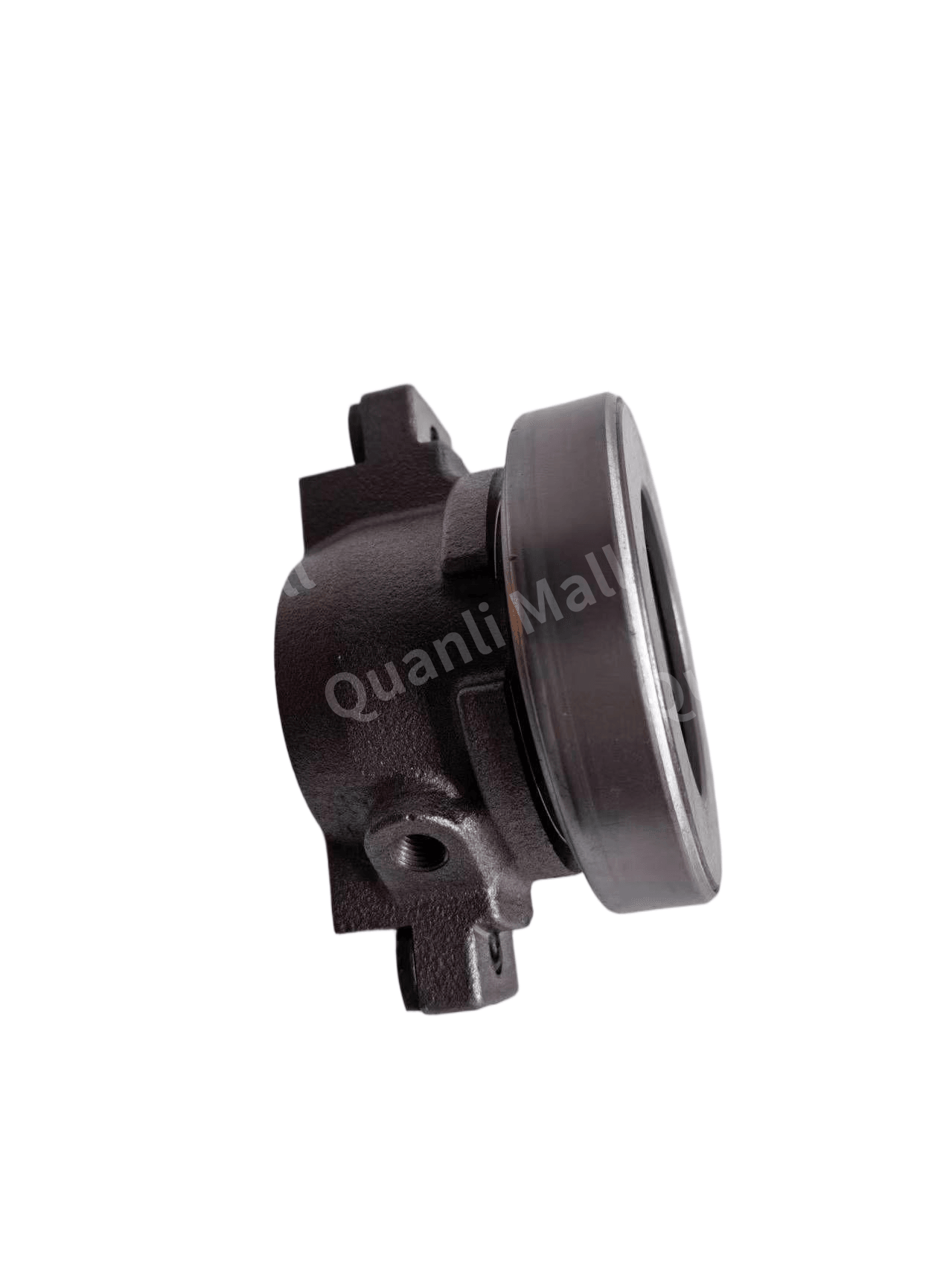 Split Bearing 3