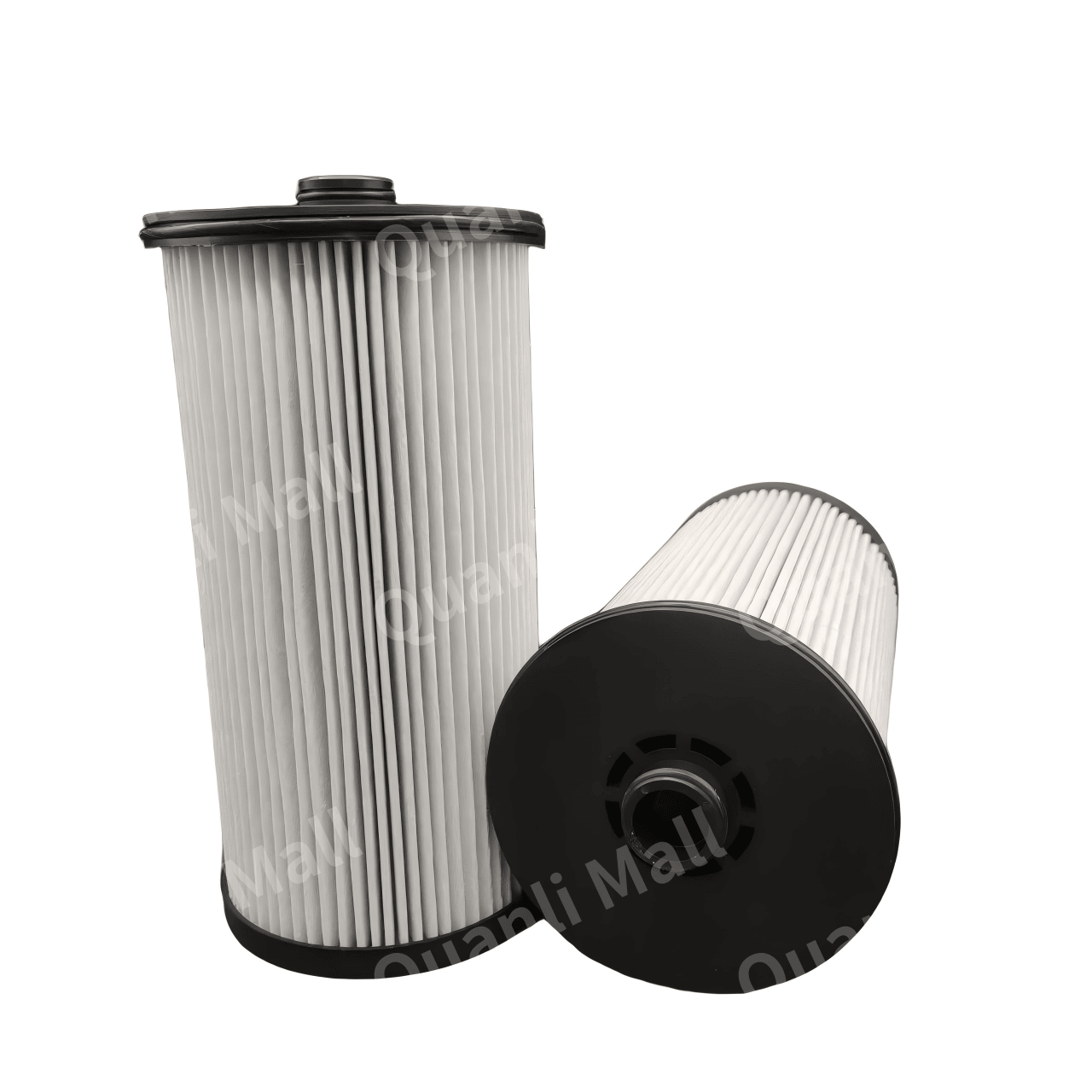 Diesel Fuel Filter 2