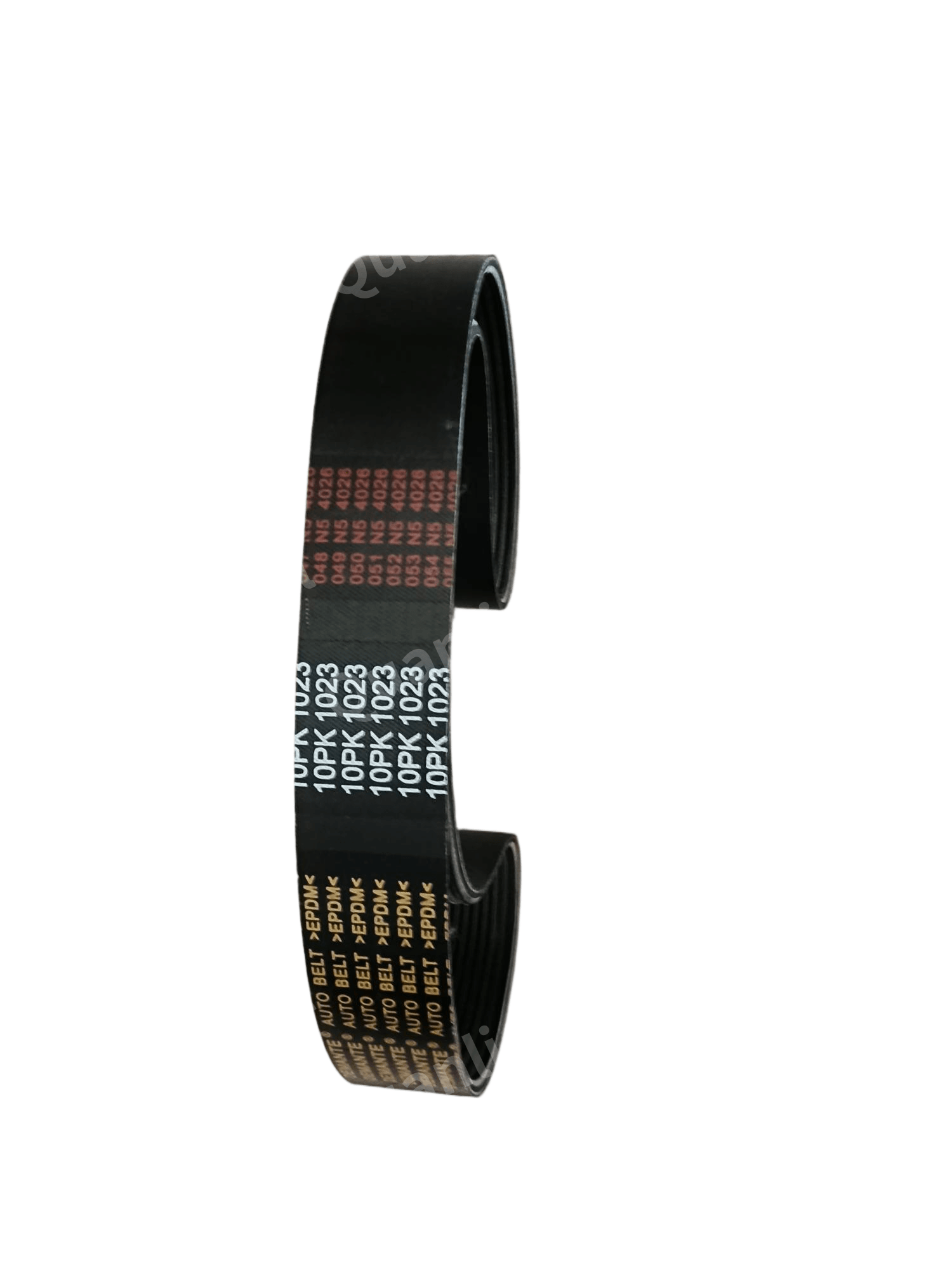 Multi-V Belt 10PK1023 2