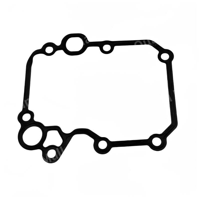 Engine Oil Module Gasket 2