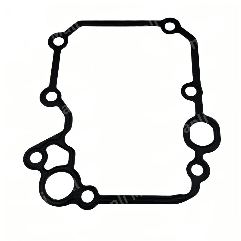Engine Oil Module Gasket 4