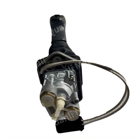 Manual Check Valve 1